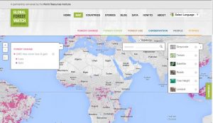 Global Forest Change Map: World Resource Institute