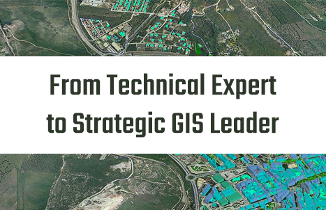 From Technical Expert to Strategic GIS Leader