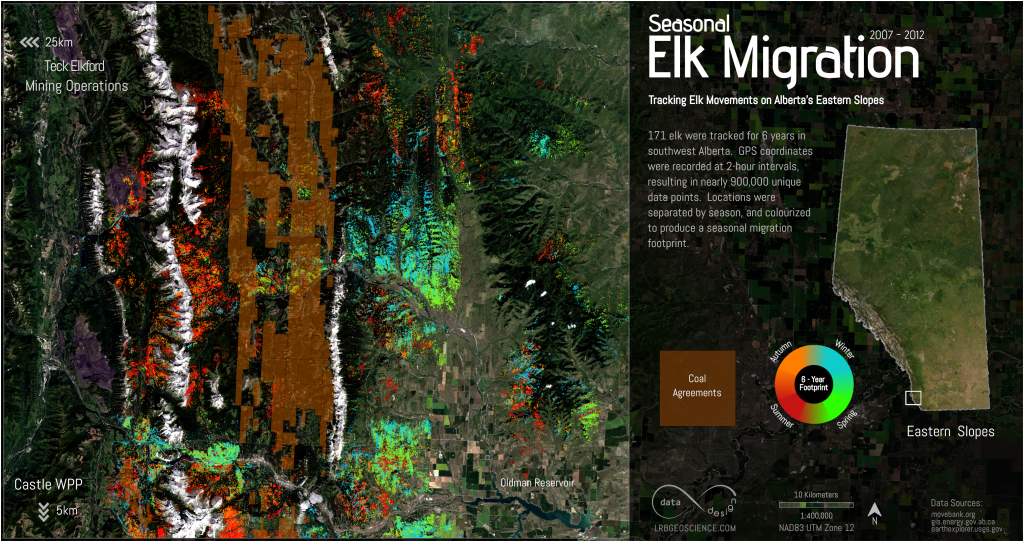 How will openpit coal mining affect resident elk populations in