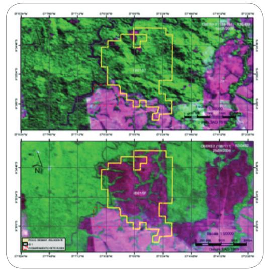 Brazil DETER deforestation monitoring by satellite