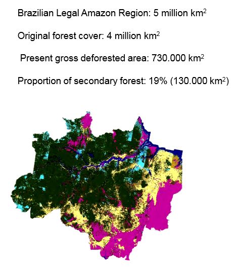 Brazil forest cover 2013 INPE