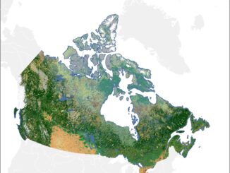 Canada landcover