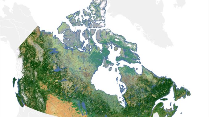 Canada landcover
