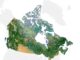 Canada landcover
