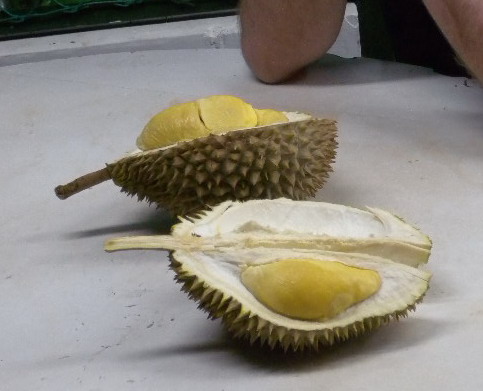 Durian