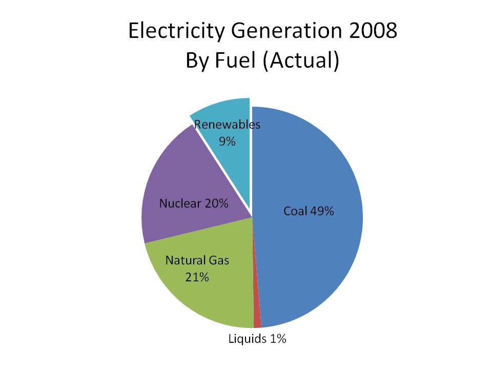 Electricity
Generation by Fuel 2008