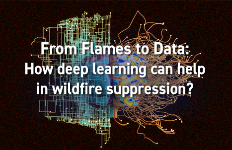 From flames to data