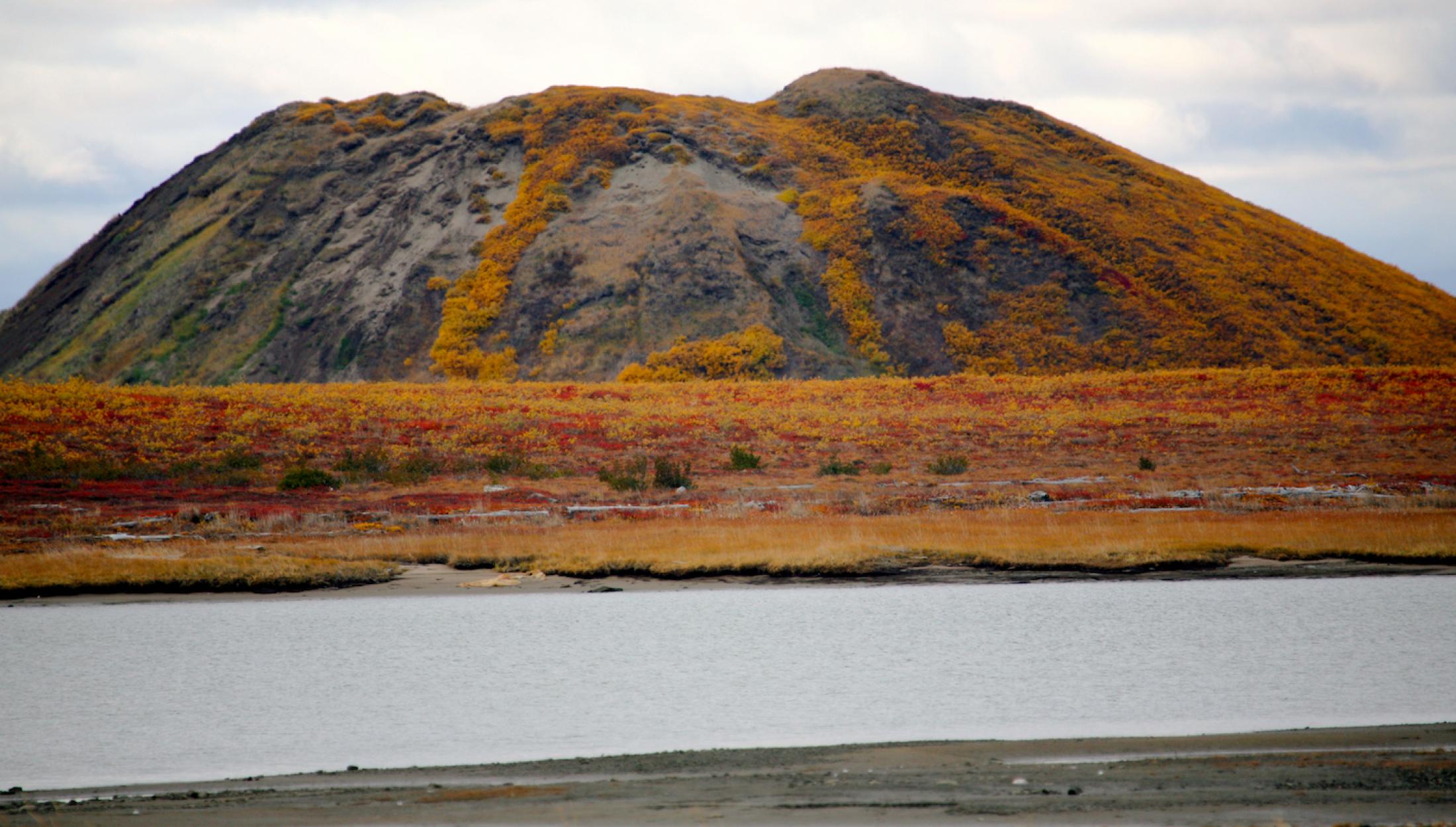 национальная достопримечательность пинго. пинго в тундре. бугры пучения гидролакколиты. бугор пучения (пинго. холмы пинго в тундре.