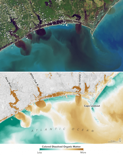 Visible and infrared data from Landsat