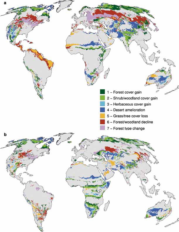GlobalWarmingImpactOnForest