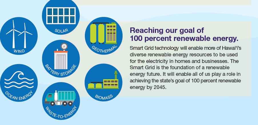 Hawaiian power utilities smart grid