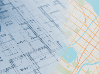 Professional journey