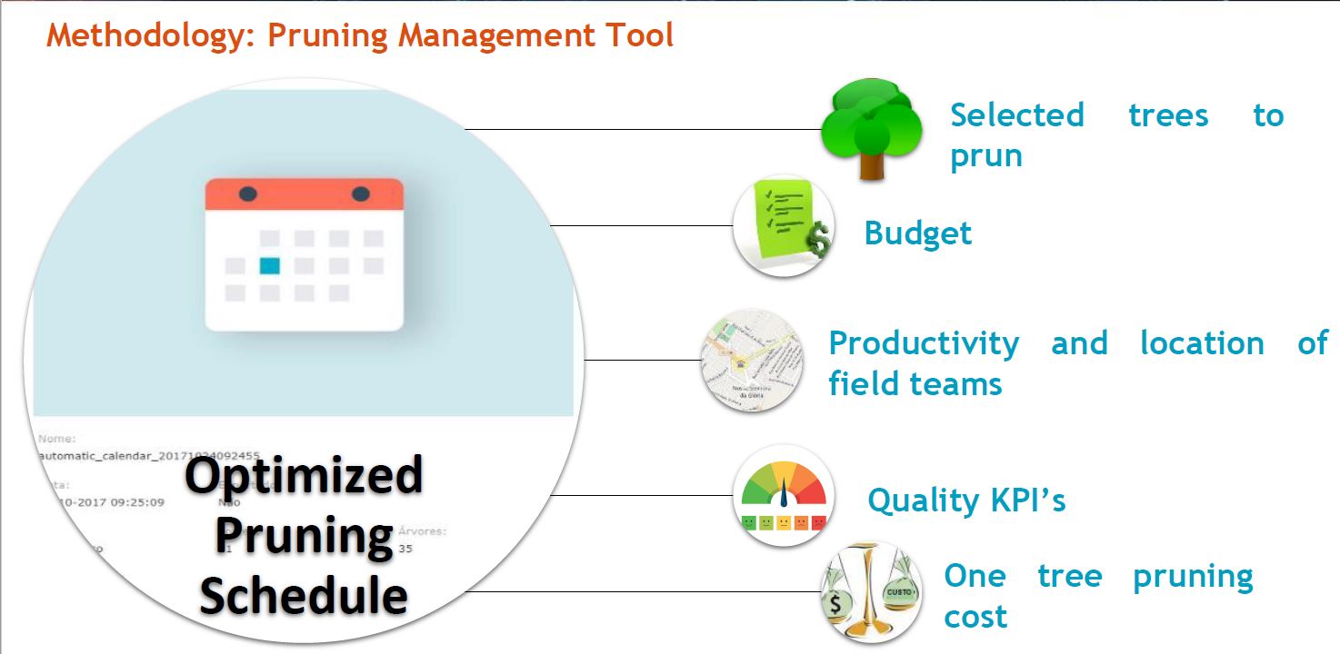 Optimized pruning schedule Energis