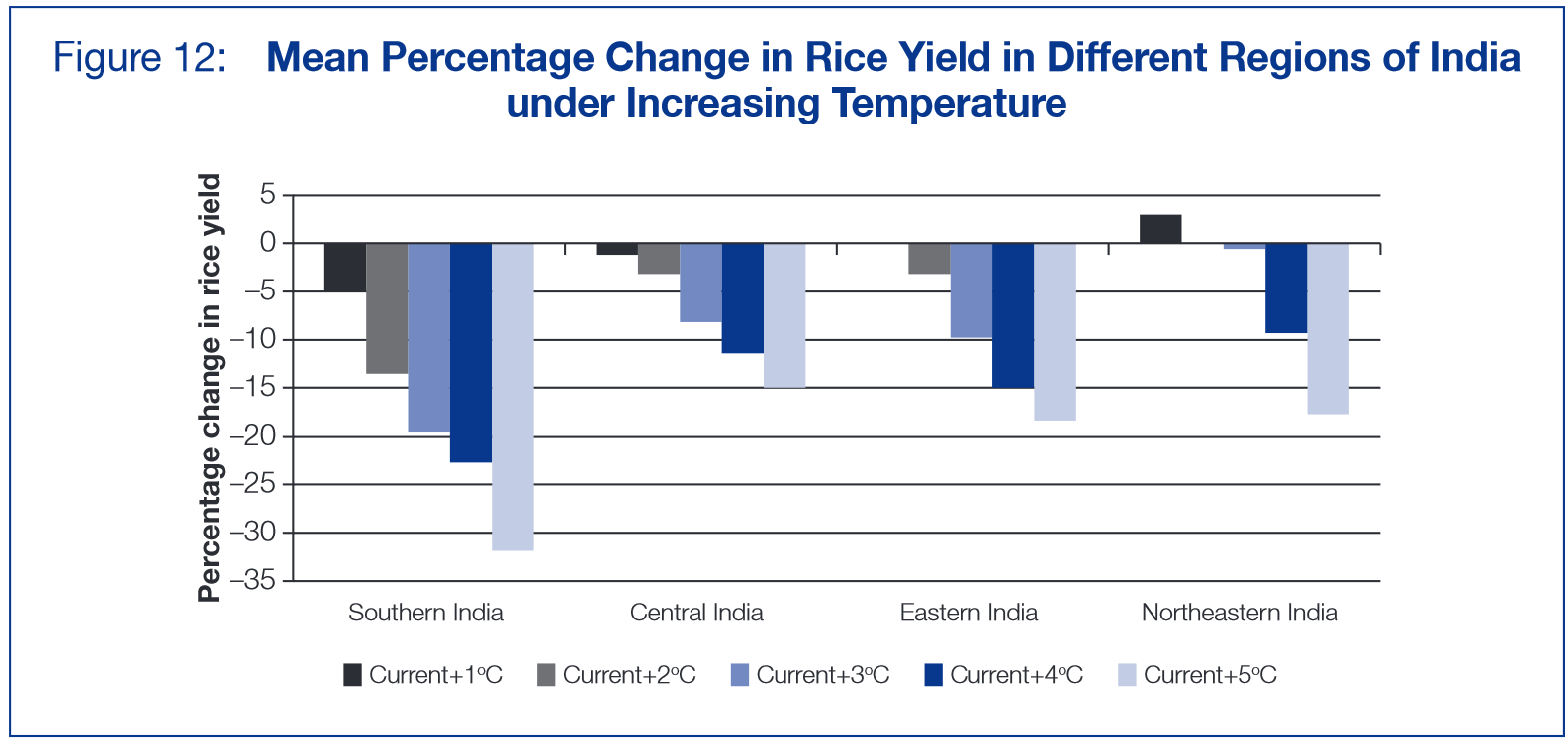 Rice change india climate change ADB